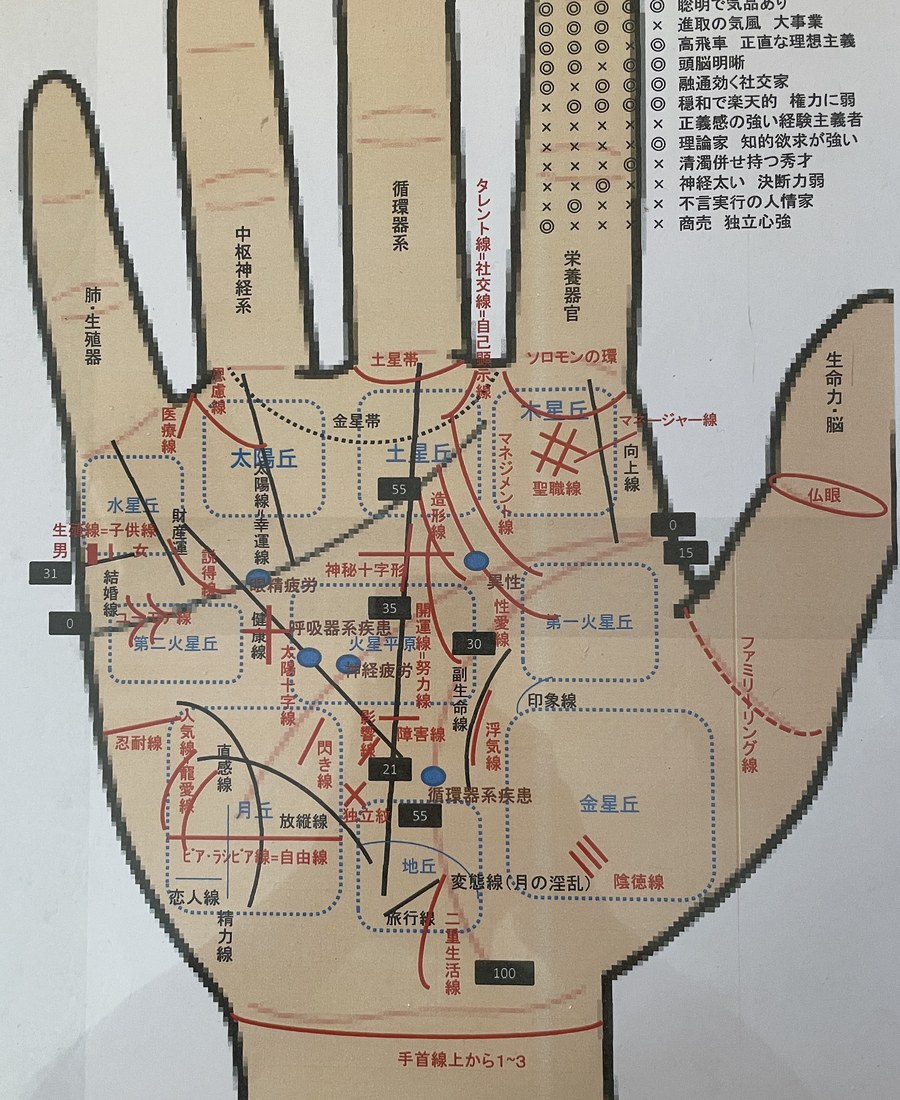 手相の見方を示した図