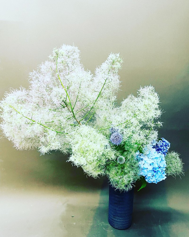 いけばな作品 スモークツリーと紫陽花